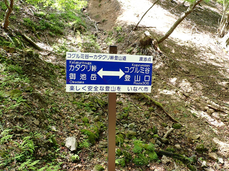 P5050858_mid.jpg