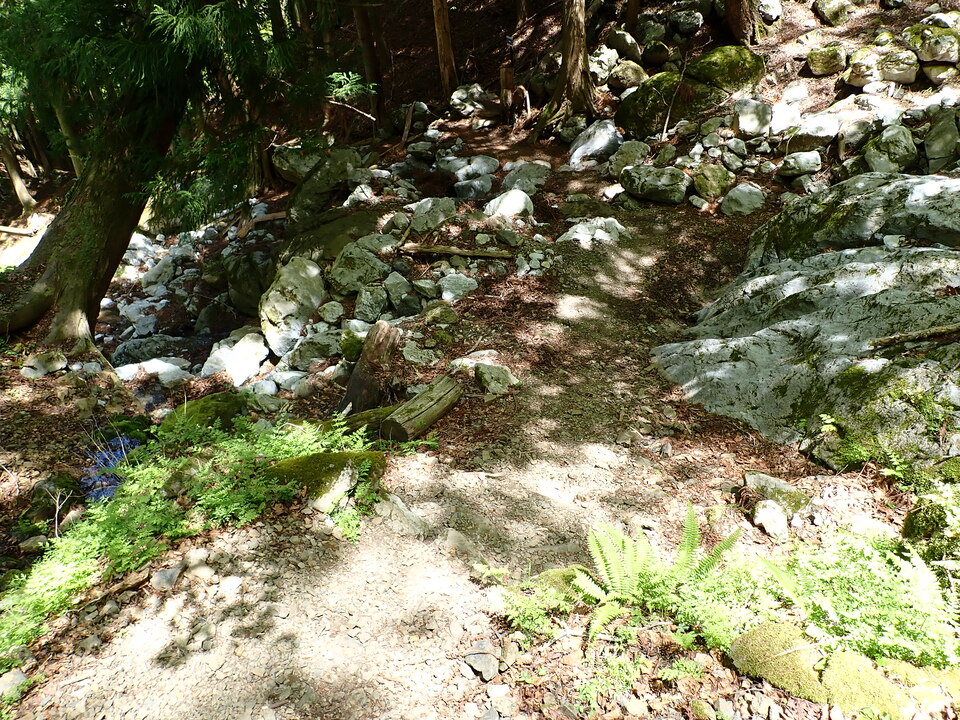 P5050859_mid.jpg