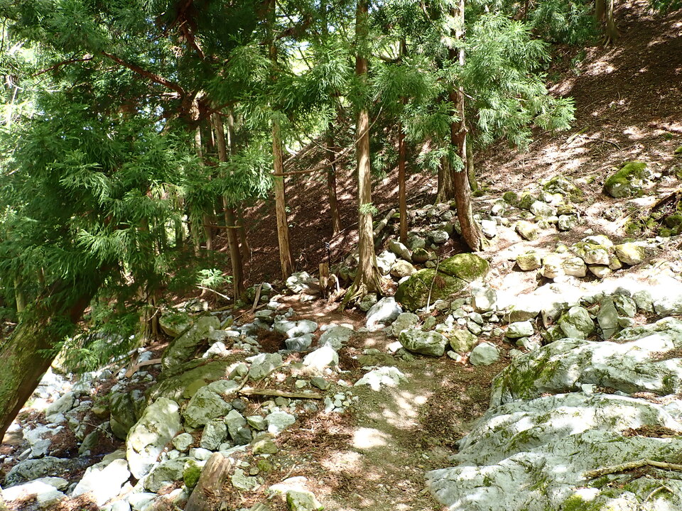 P5050861_mid.jpg