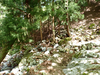 P5050861_thumb.png
