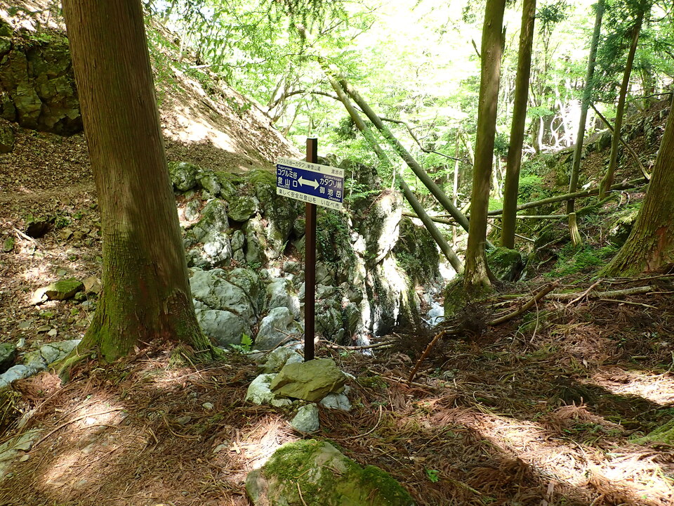 P5050862_mid.jpg