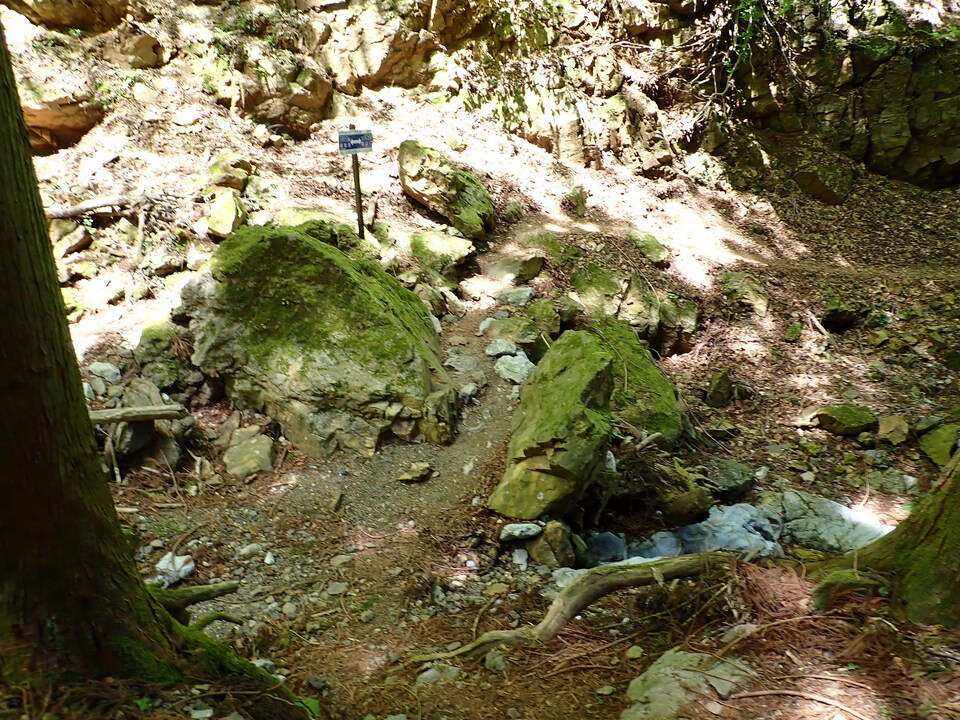 P5050863_mid.jpg