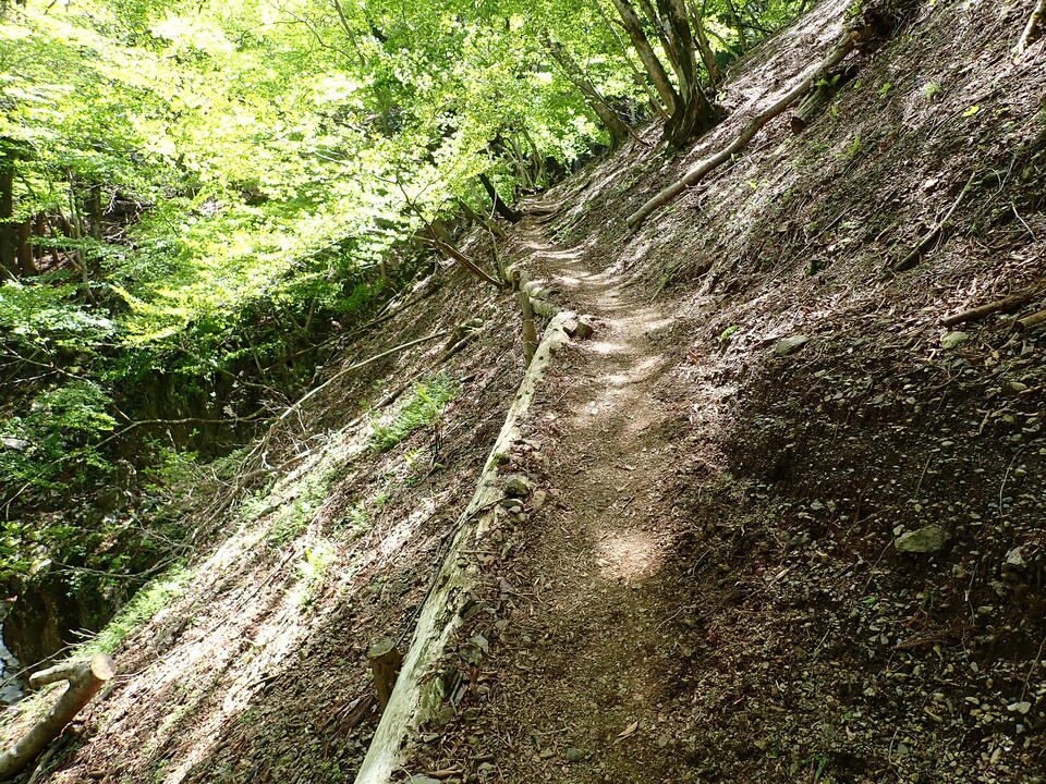 P5050869_mid.jpg