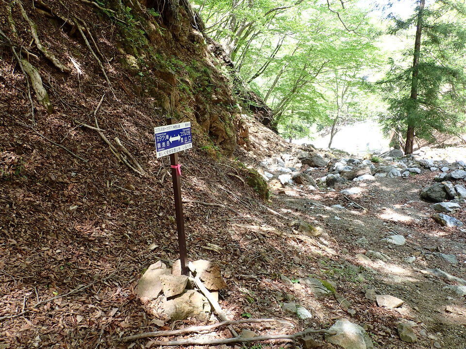 P5050870_mid.jpg
