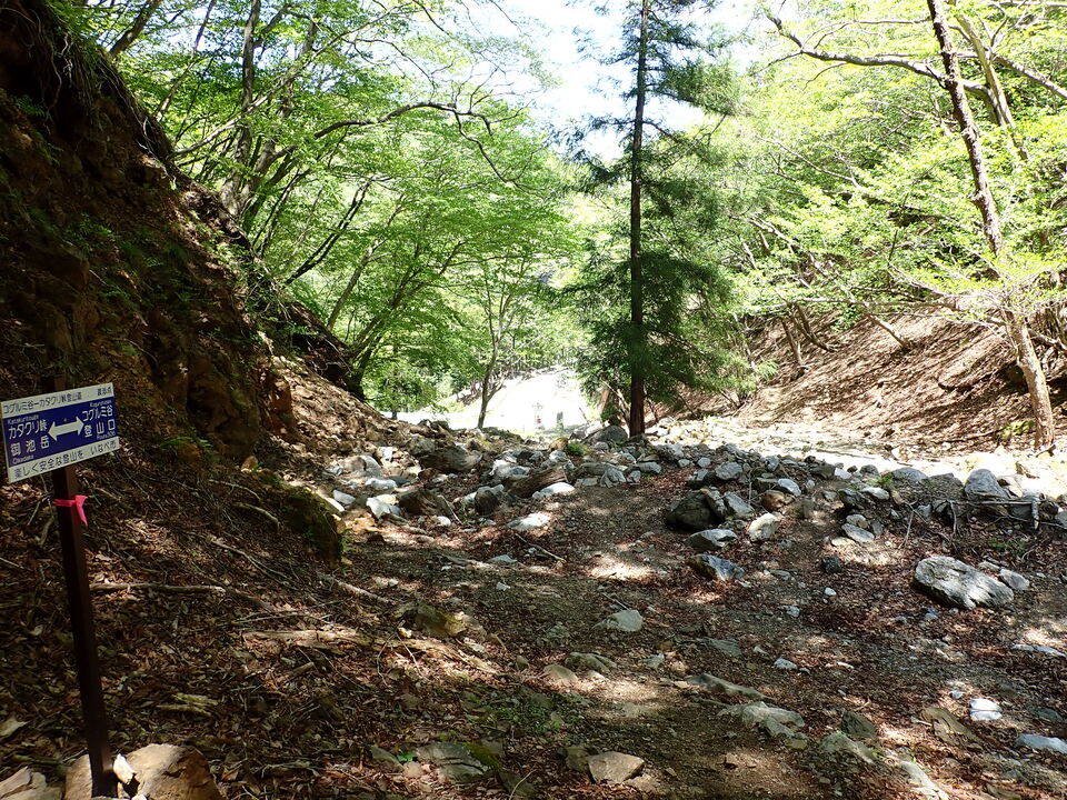 P5050871_mid.jpg