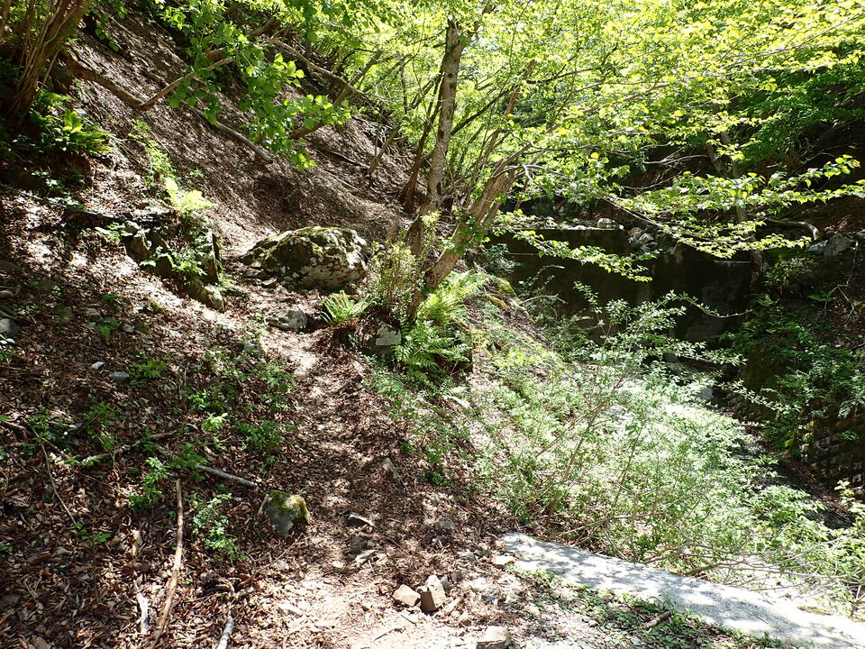 P5050874_mid.jpg