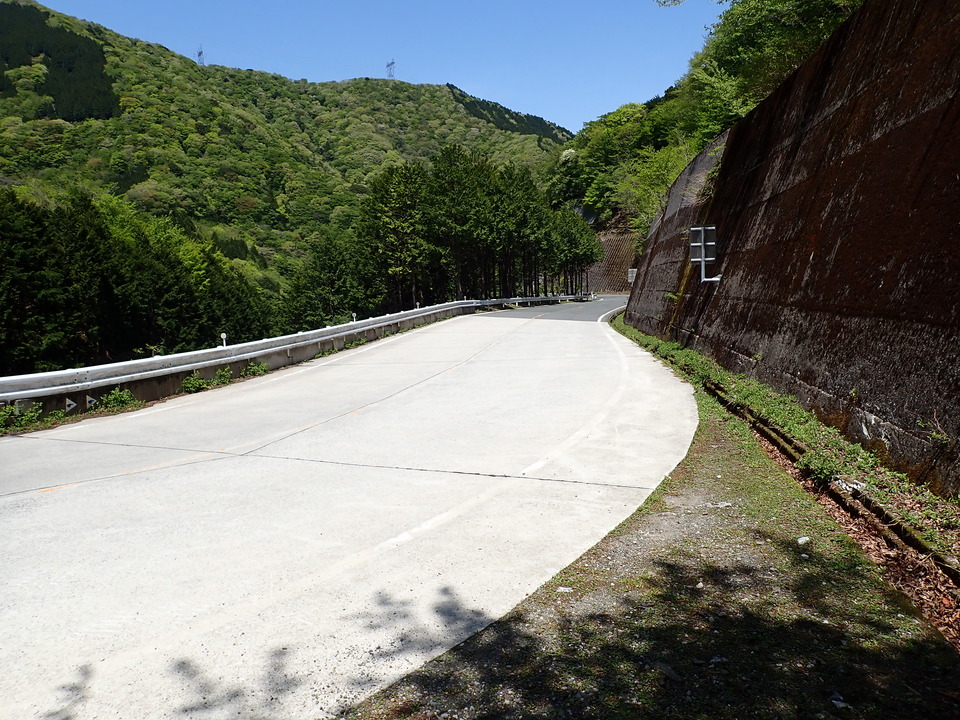 P5050875_mid.jpg