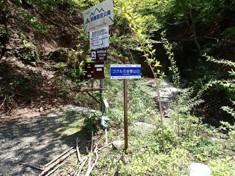 P5050877_mid.jpg