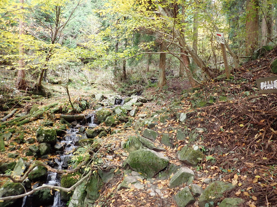 PB086975_mid.jpg