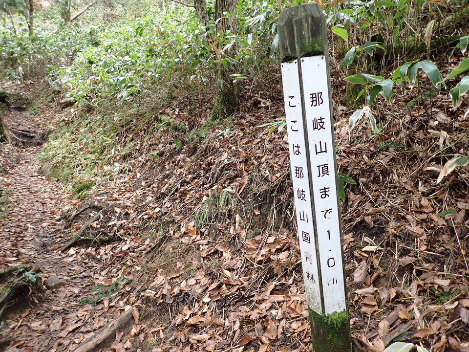 PB087013_mid.jpg