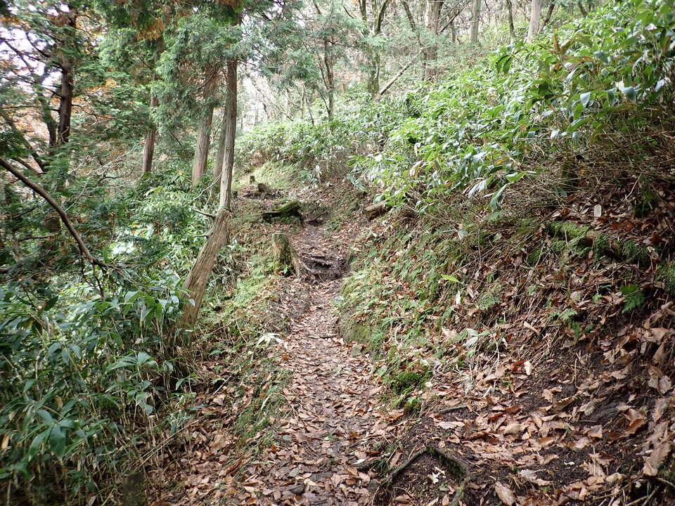 PB087014_mid.jpg