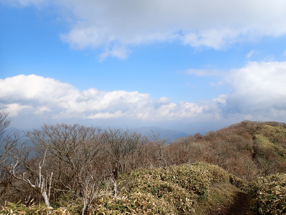 PB087080_mid.jpg
