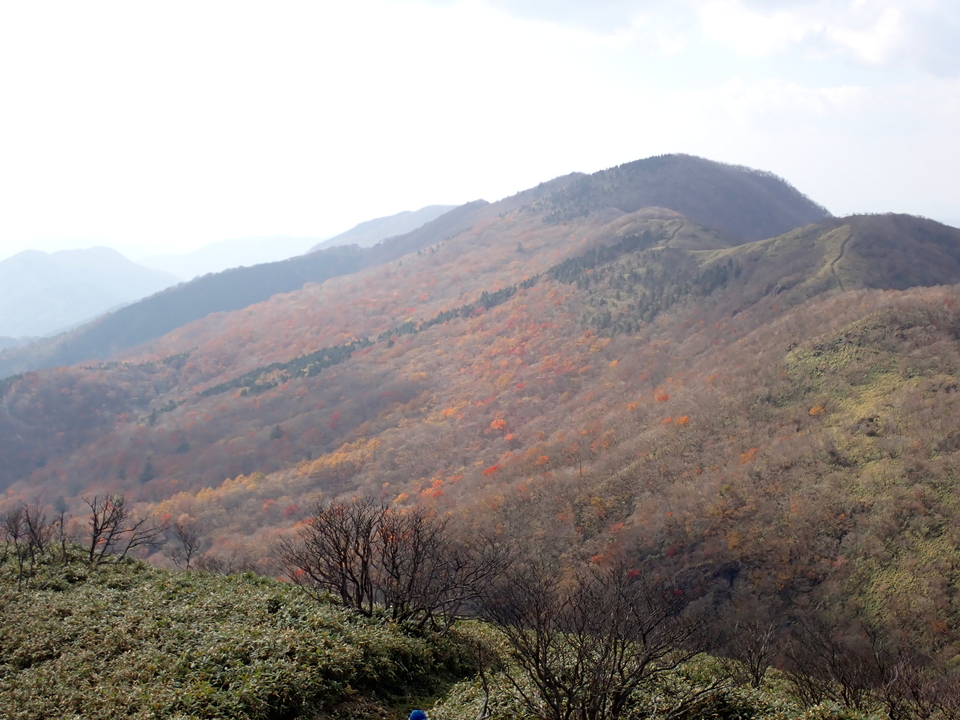 PB087148_mid.jpg