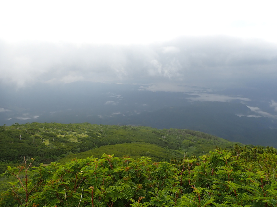 P7188216_mid.jpg