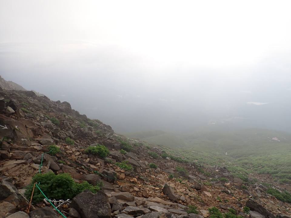 P7188262_mid.jpg