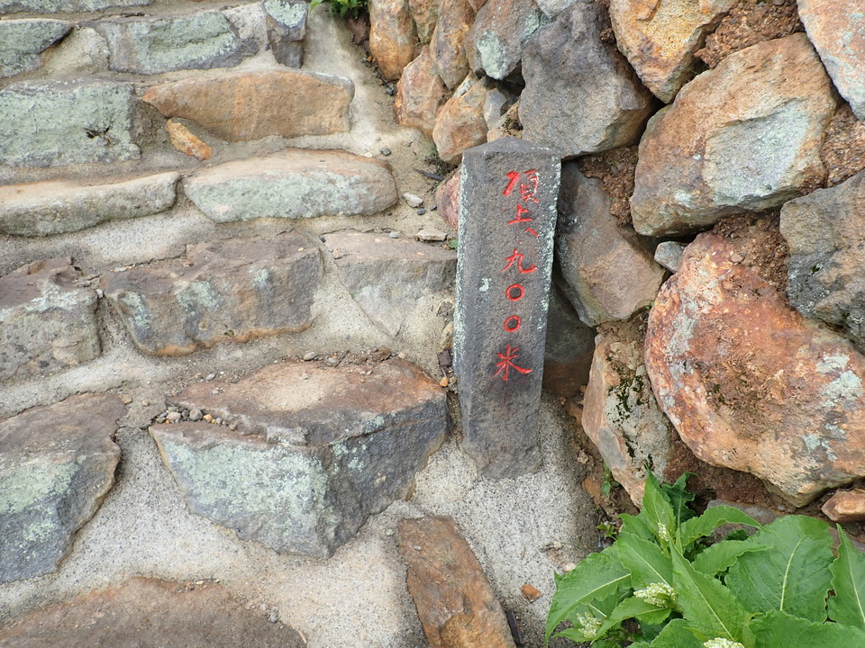 P7188267_mid.jpg