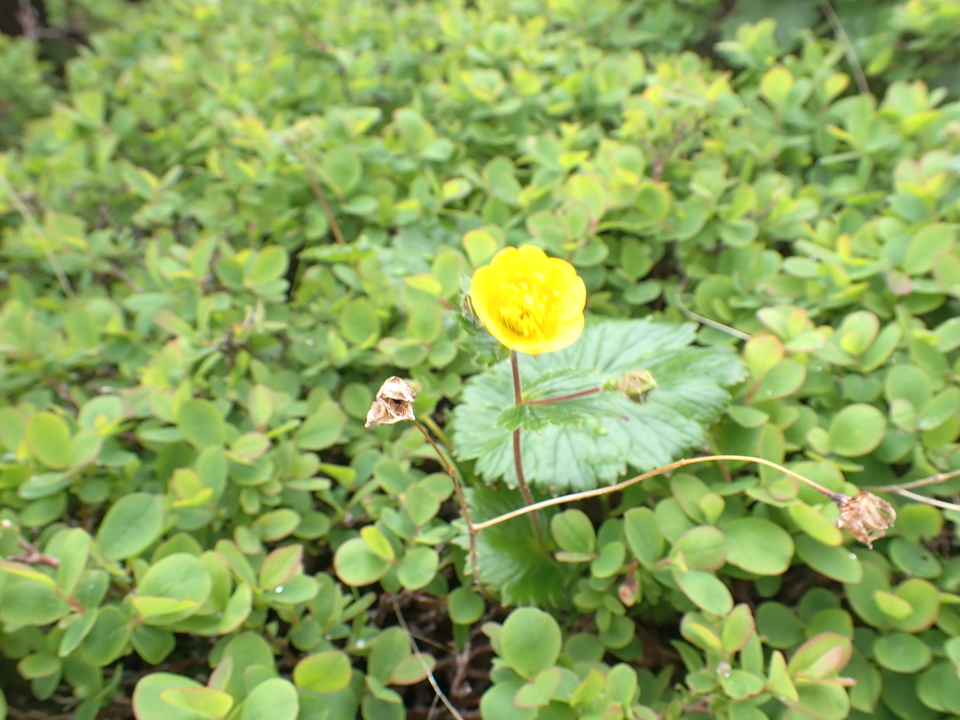 P7188534_mid.jpg