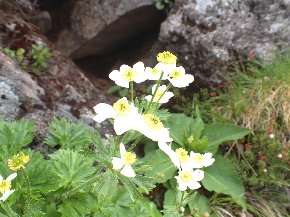 P7188536_mid.jpg