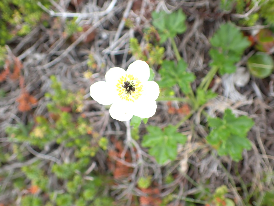 P7188543_mid.jpg
