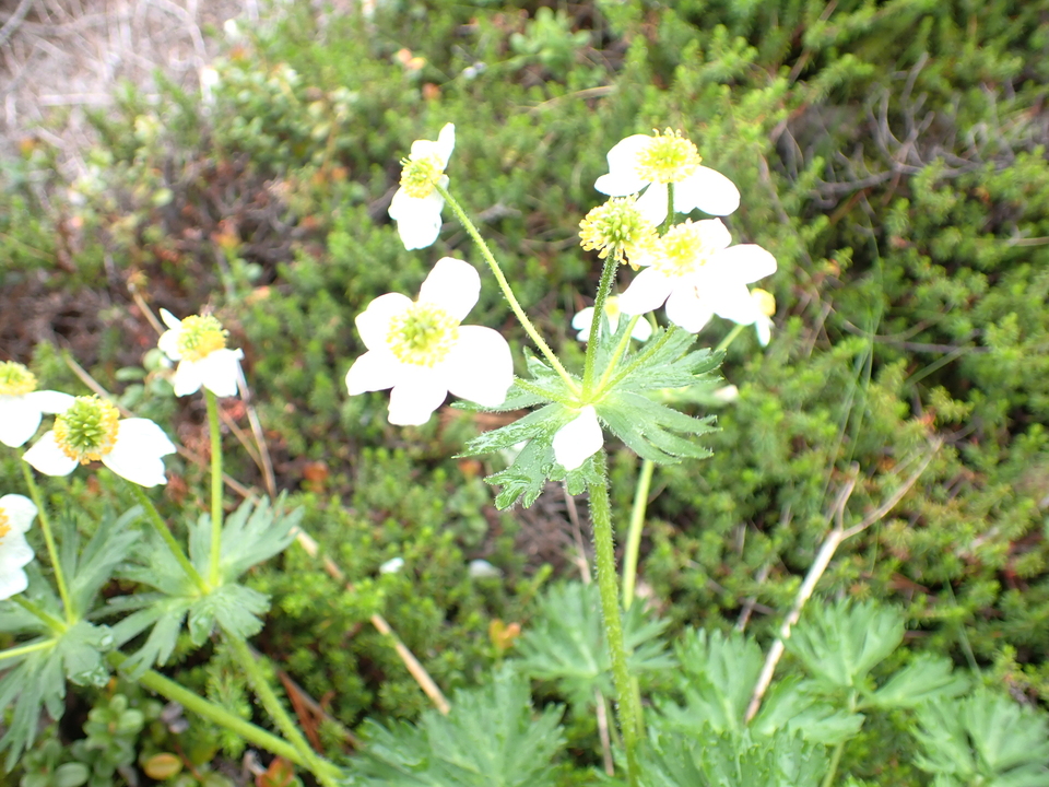 P7188552_mid.jpg