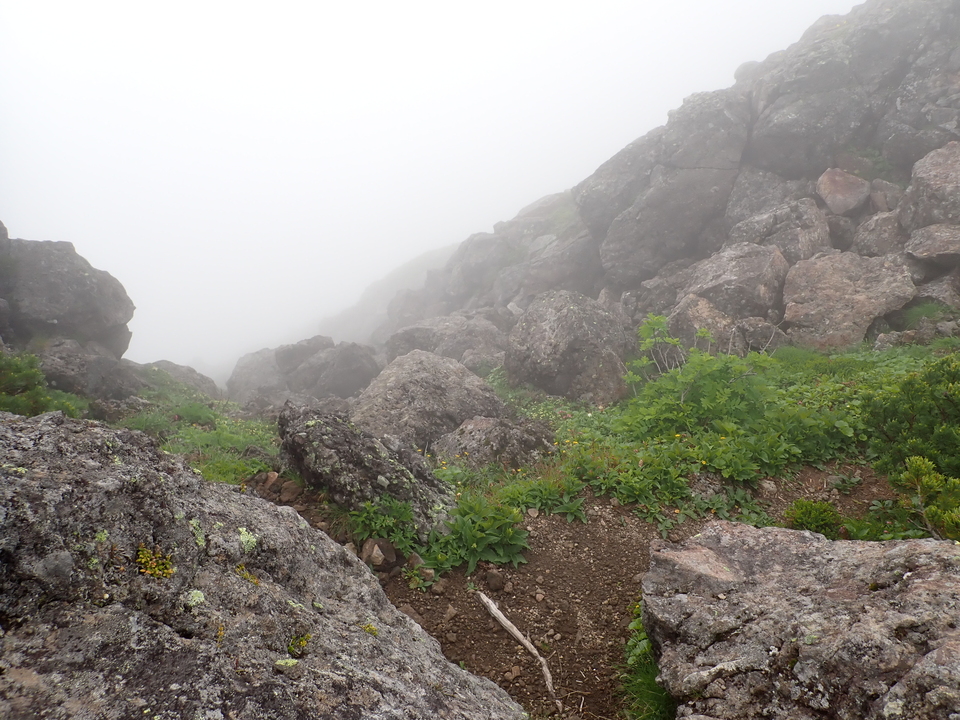 P7188604_mid.jpg