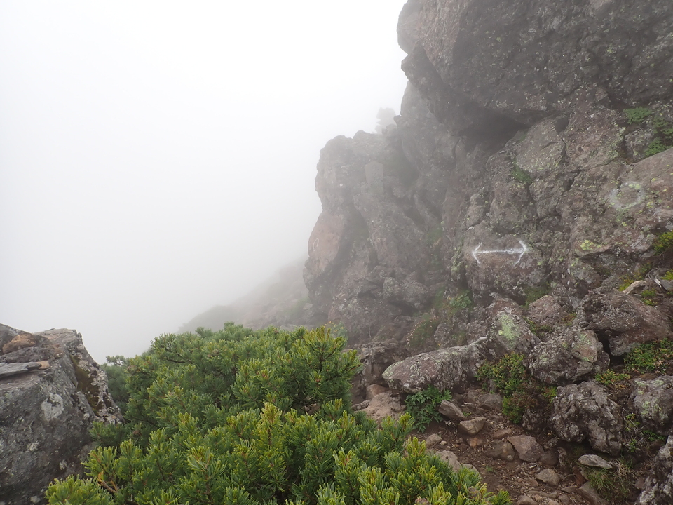 P7188605_mid.jpg
