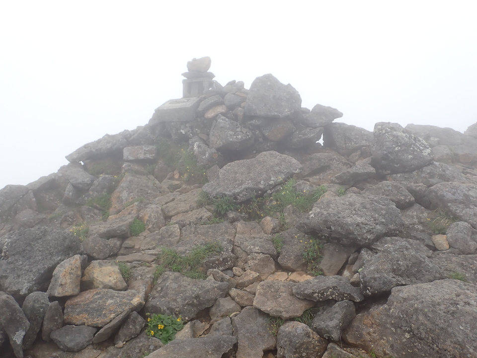 P7188607_mid.jpg