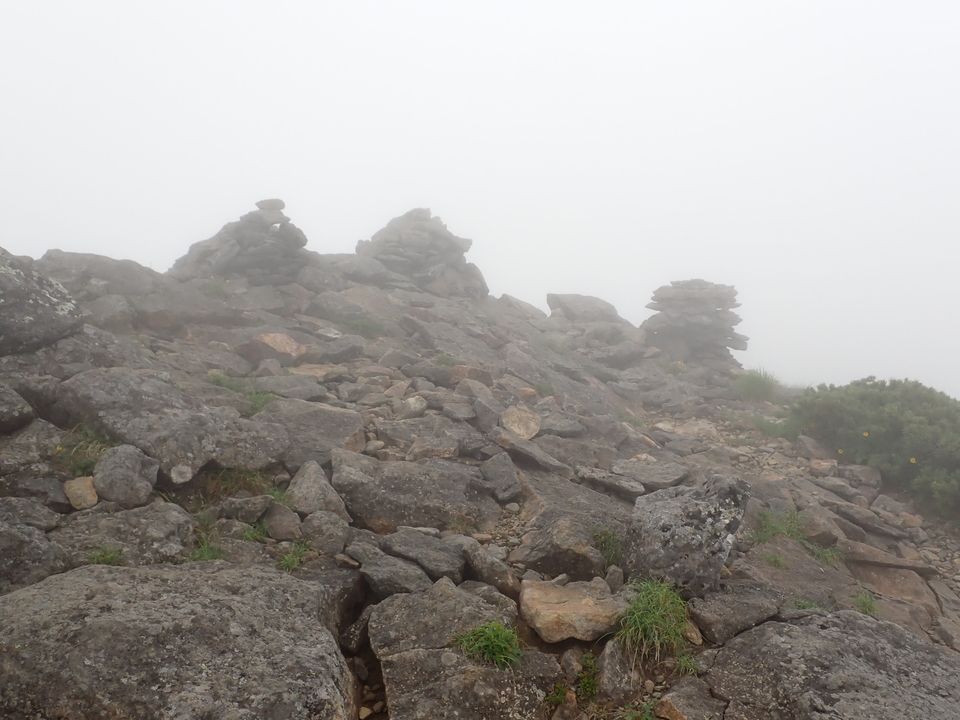 P7188608_mid.jpg