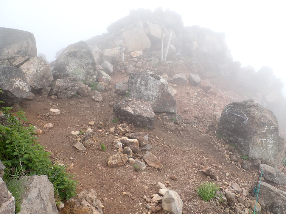 P7188610_mid.jpg