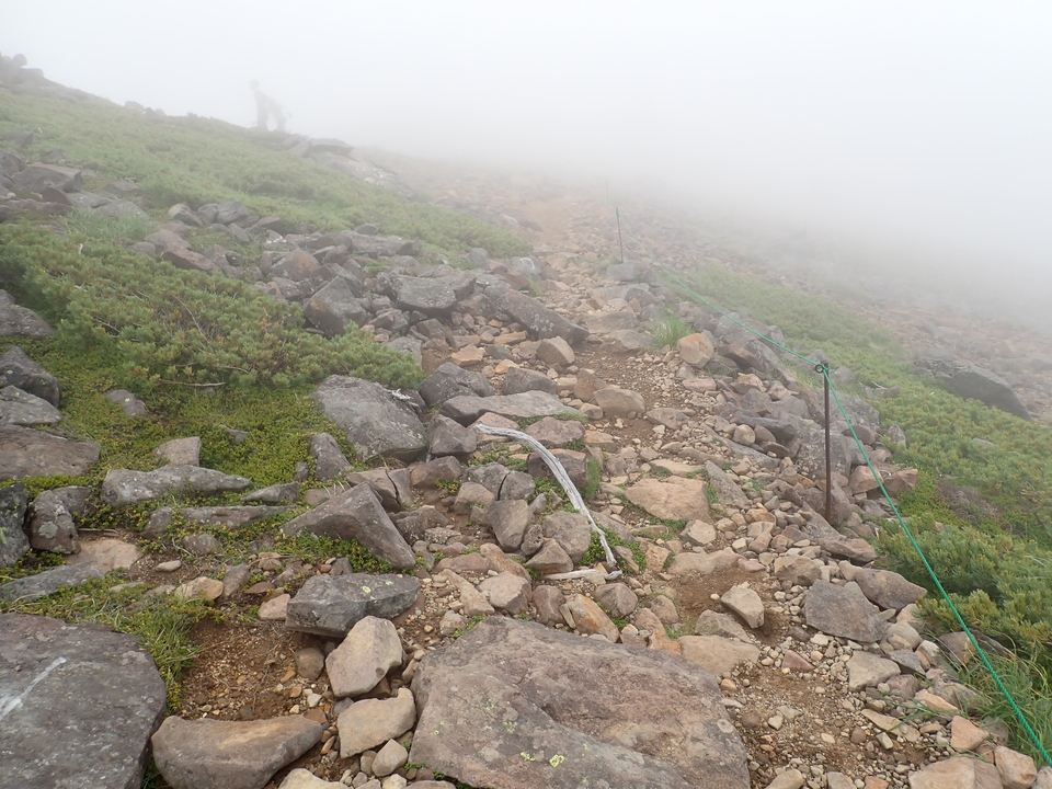 P7188613_mid.jpg