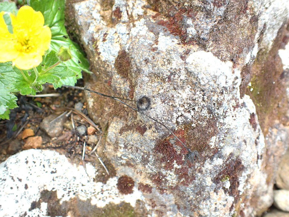 P7188642_mid.jpg