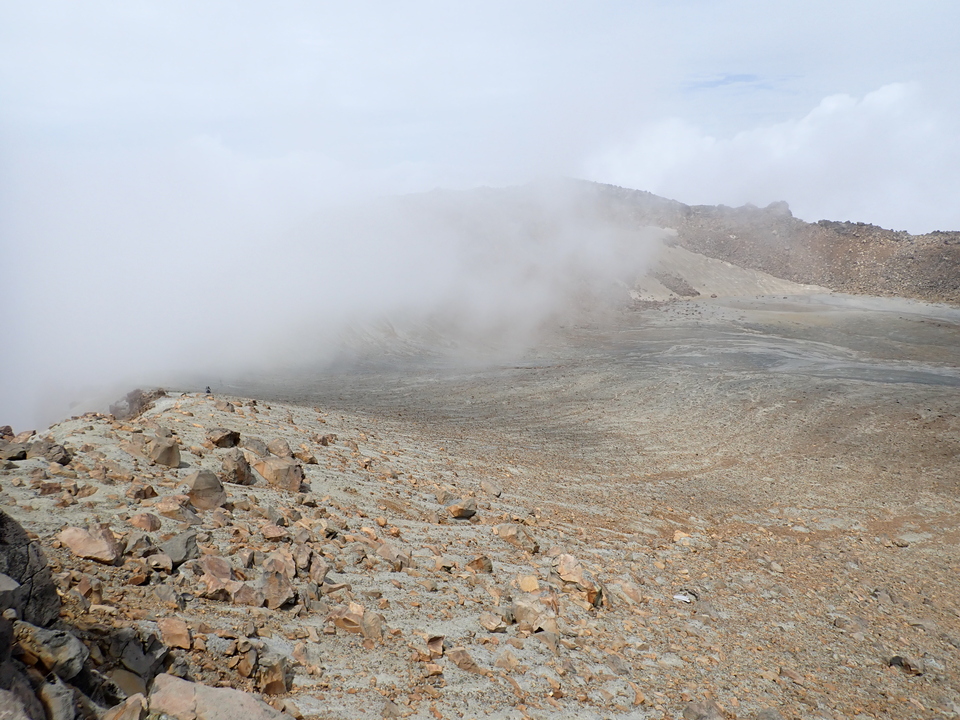 P7188710_mid.jpg