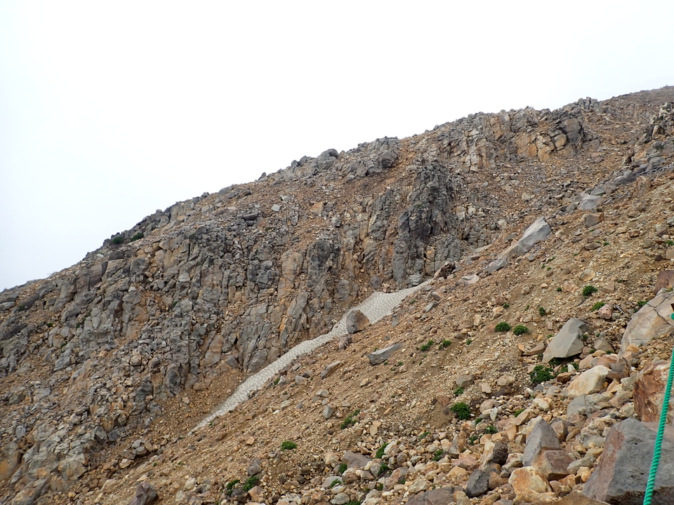 P7188753_mid.jpg