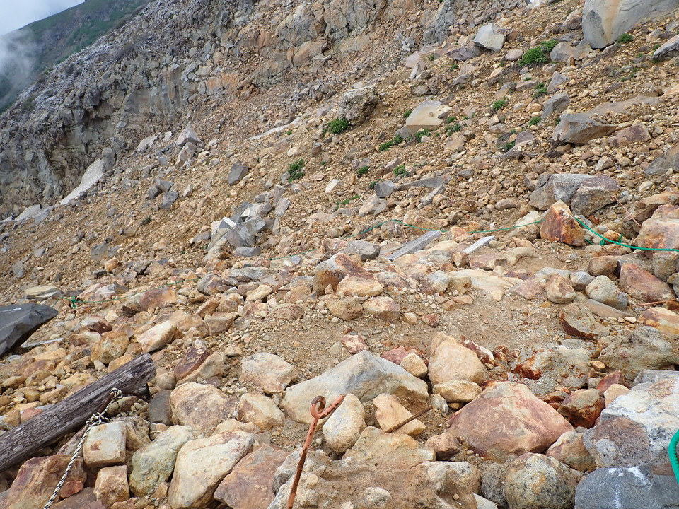 P7188755_mid.jpg