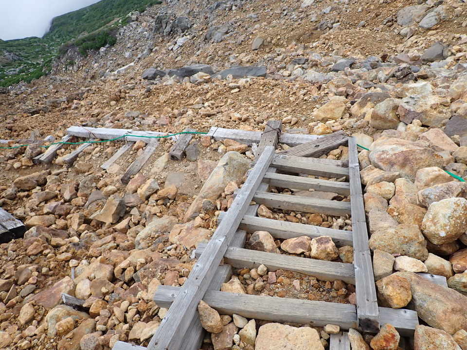 P7188758_mid.jpg