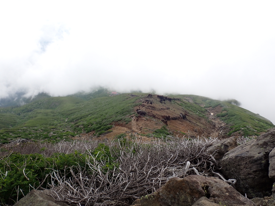 P7188766_mid.jpg