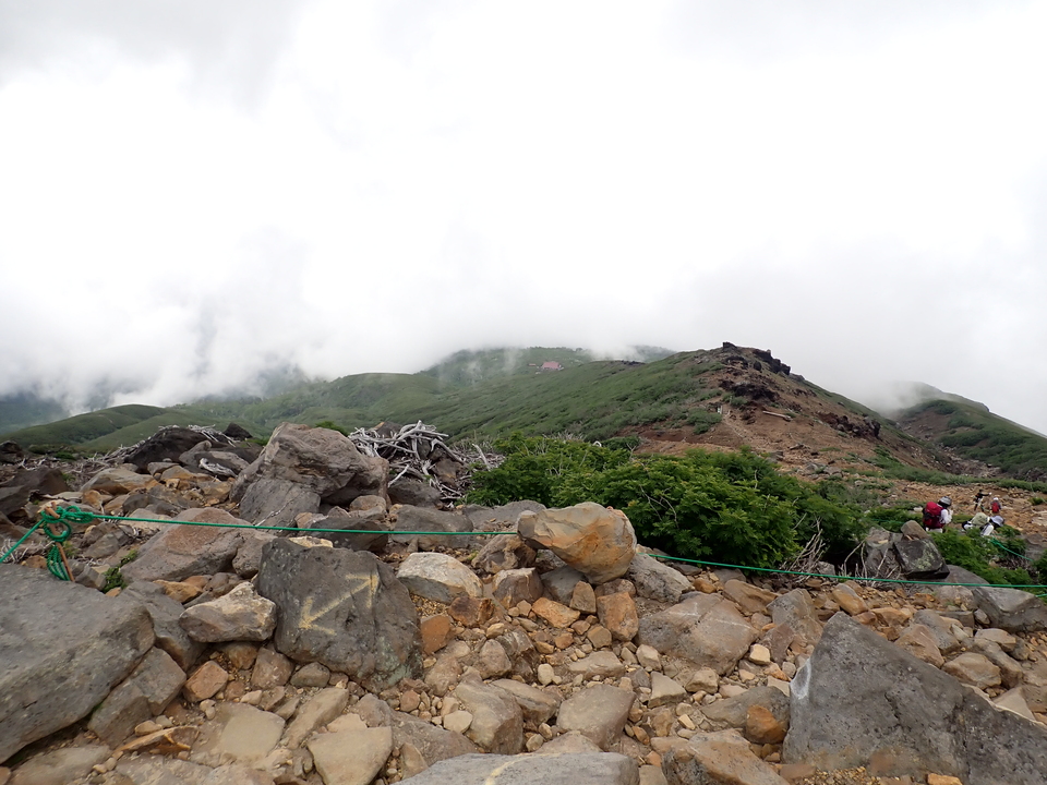 P7188769_mid.jpg