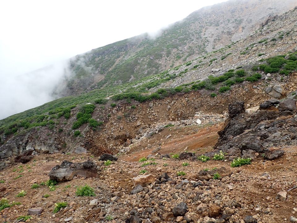 P7188775_mid.jpg