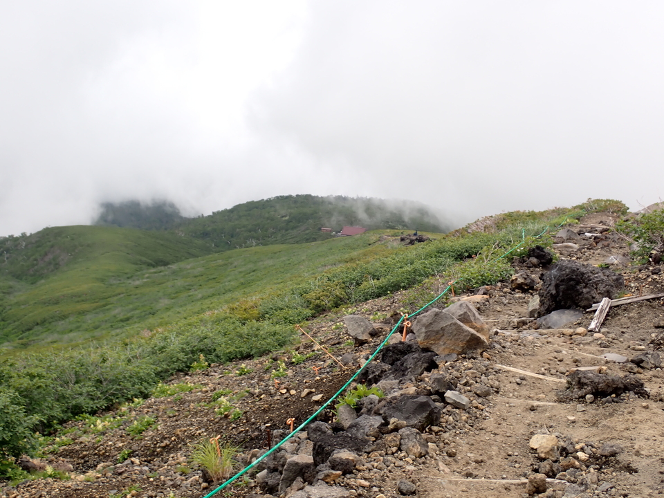 P7188778_mid.jpg