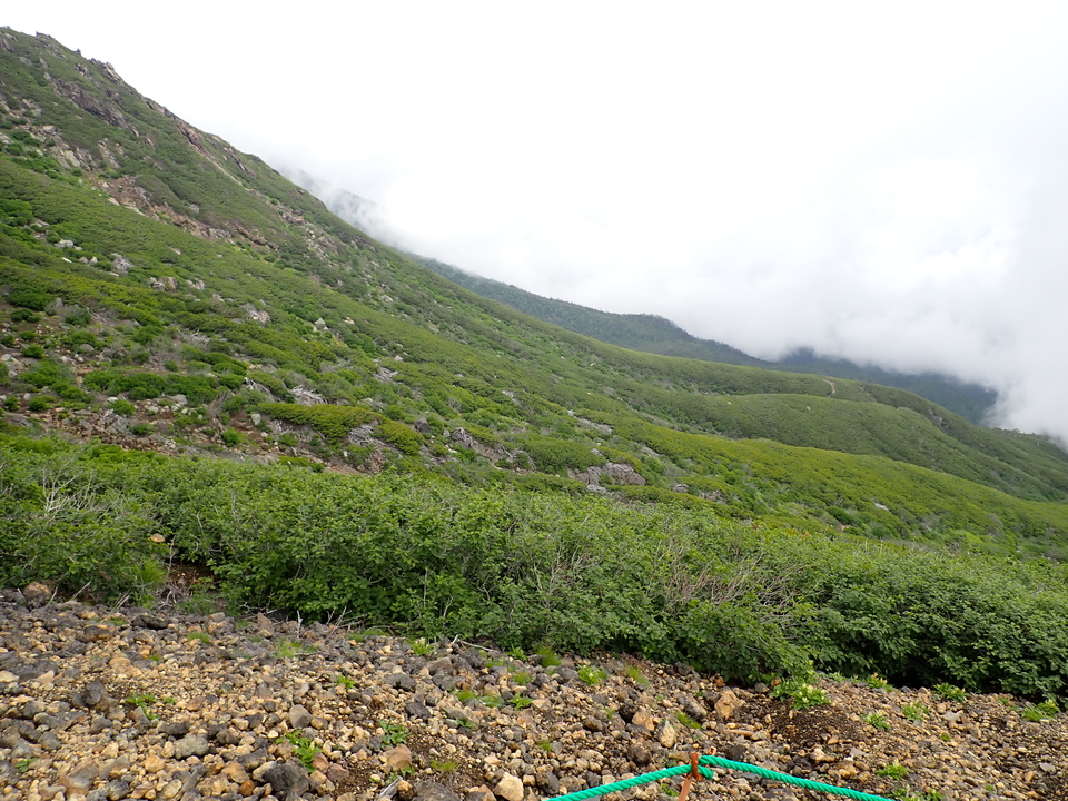 P7188780_mid.jpg