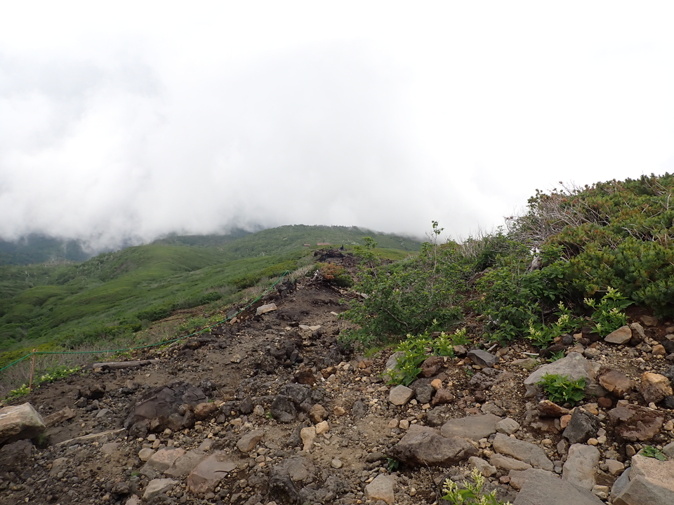 P7188784_mid.jpg