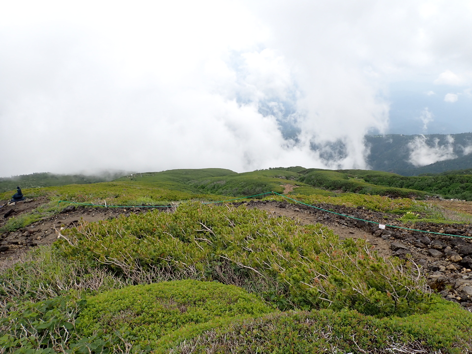 P7188790_mid.jpg