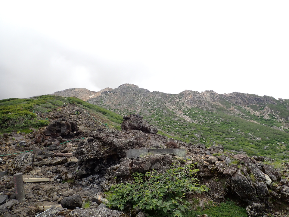 P7188794_mid.jpg