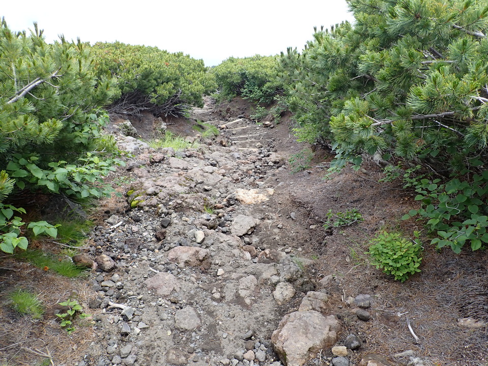 P7188799_mid.jpg