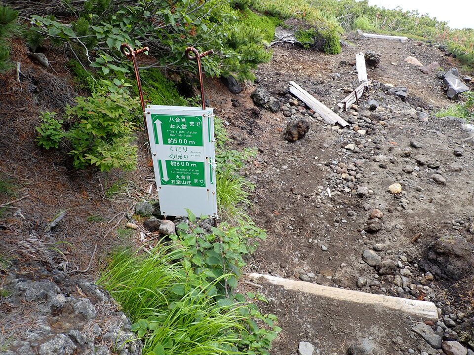P7188801_mid.jpg