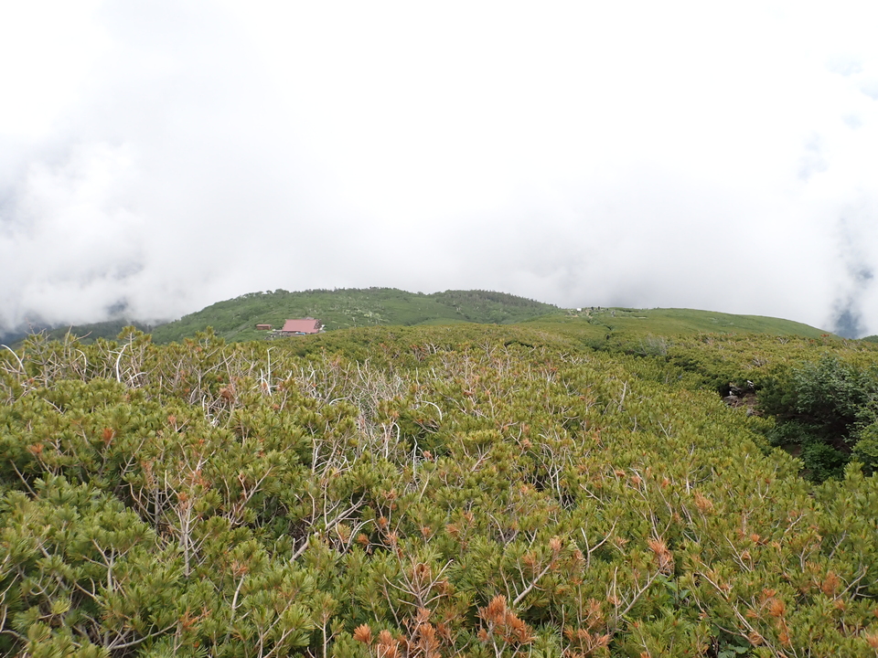 P7188804_mid.jpg