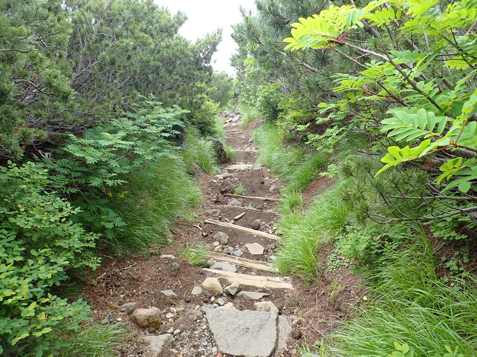 P7188809_mid.jpg