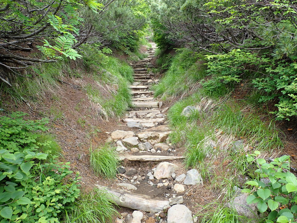 P7188810_mid.jpg