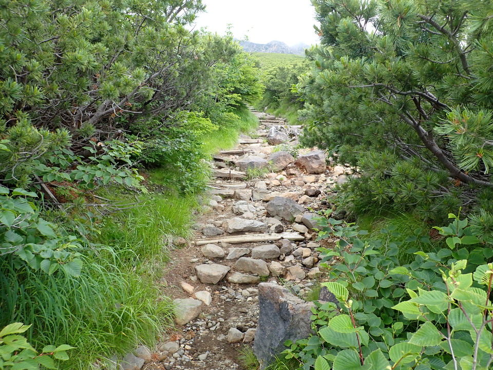 P7188812_mid.jpg
