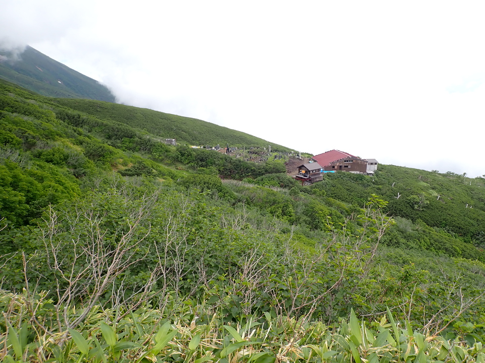 P7188821_mid.jpg